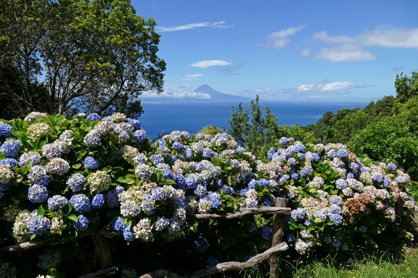 São Jorge, uitzicht op Pico-vulkaan