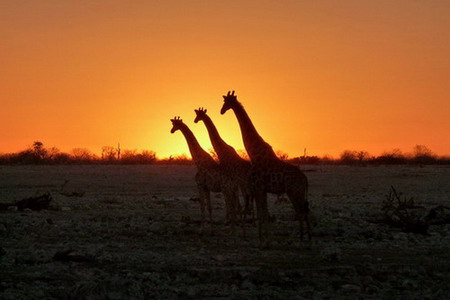 Zonsondergang in Afrika