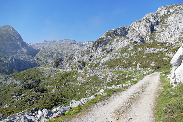 Picos de Europa